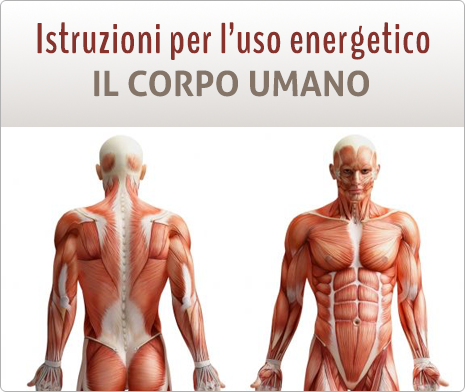 il_corpo_umano