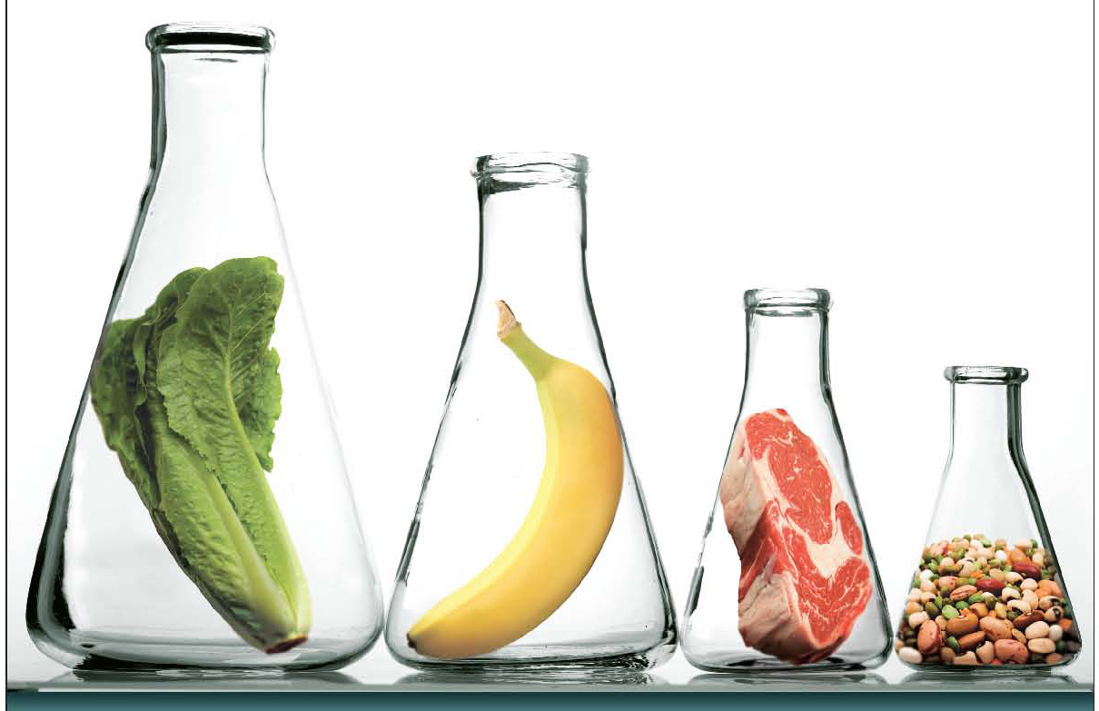 scienza e cibo