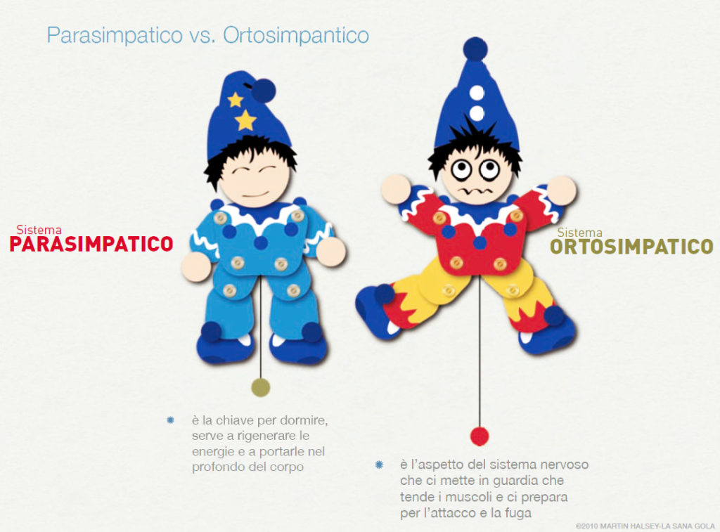 sistema parasimpatico ortosimpatico