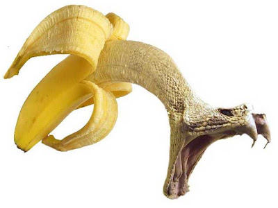 banane armonia