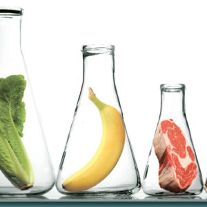 scienza e cibo